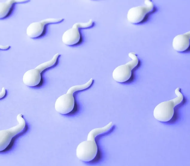 Finasteride, Fertility & Fatherhood: What the Science Really Says Image